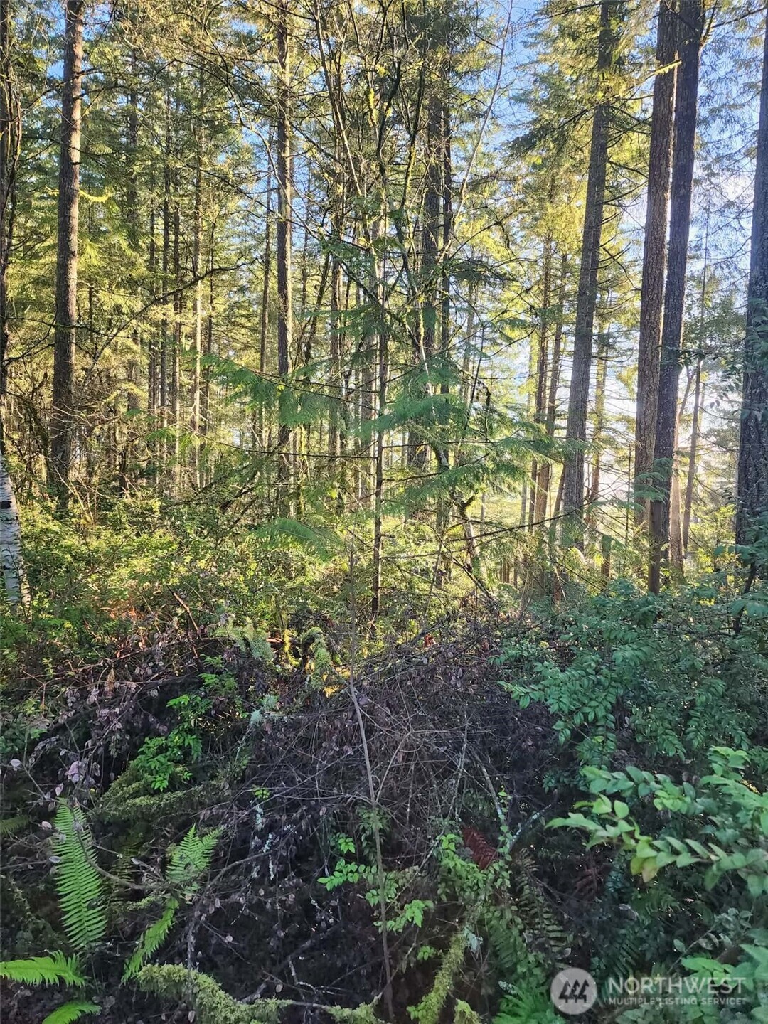 91 E Tepee Lane Property Photo 4