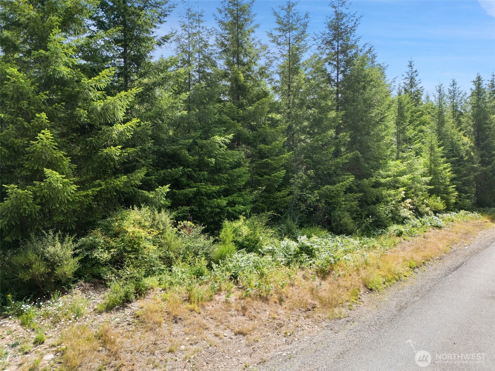 0 Lot A W Satsop Road Property Photo 2