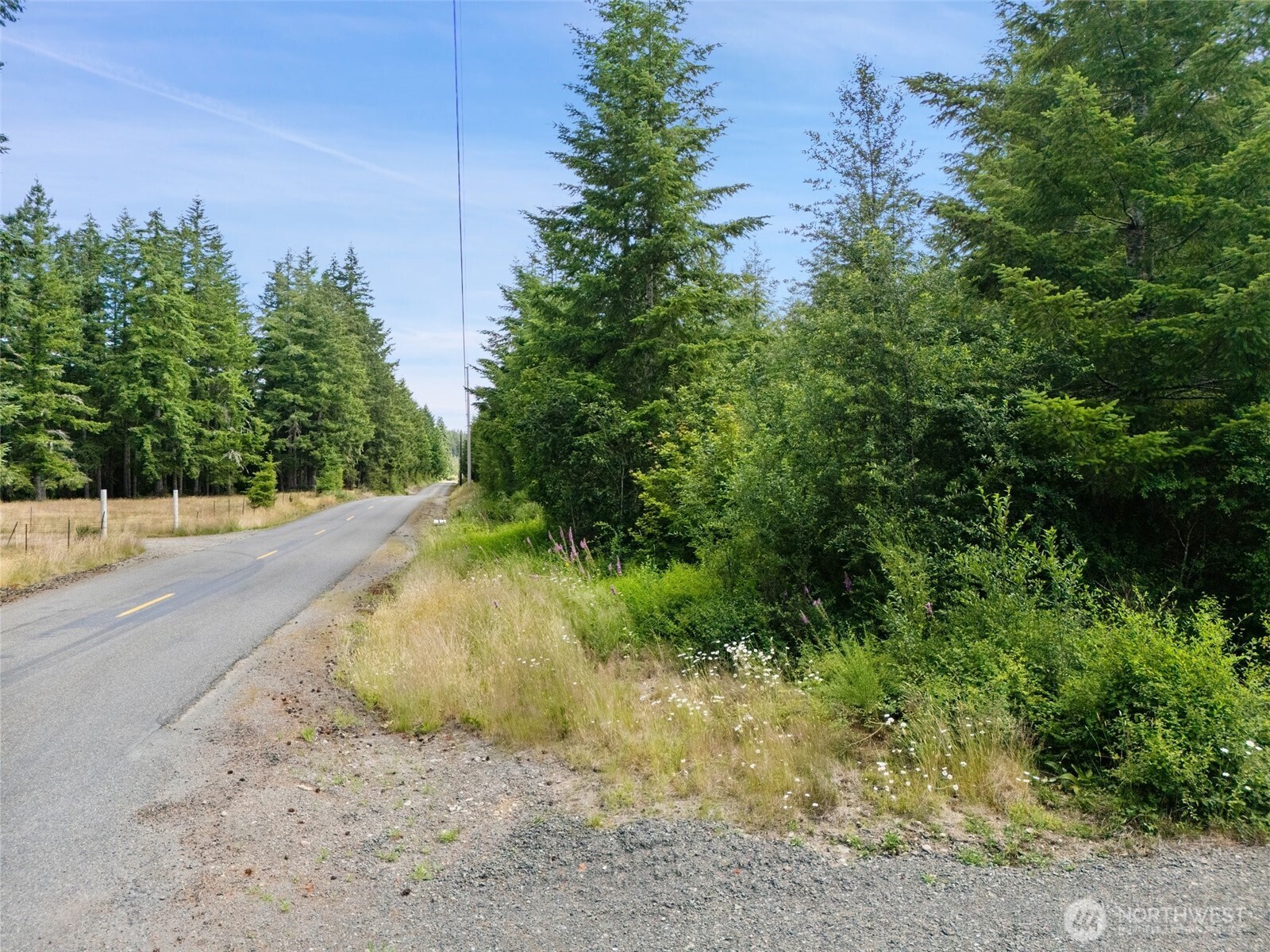 0 Lot A W Satsop Road Property Photo 6