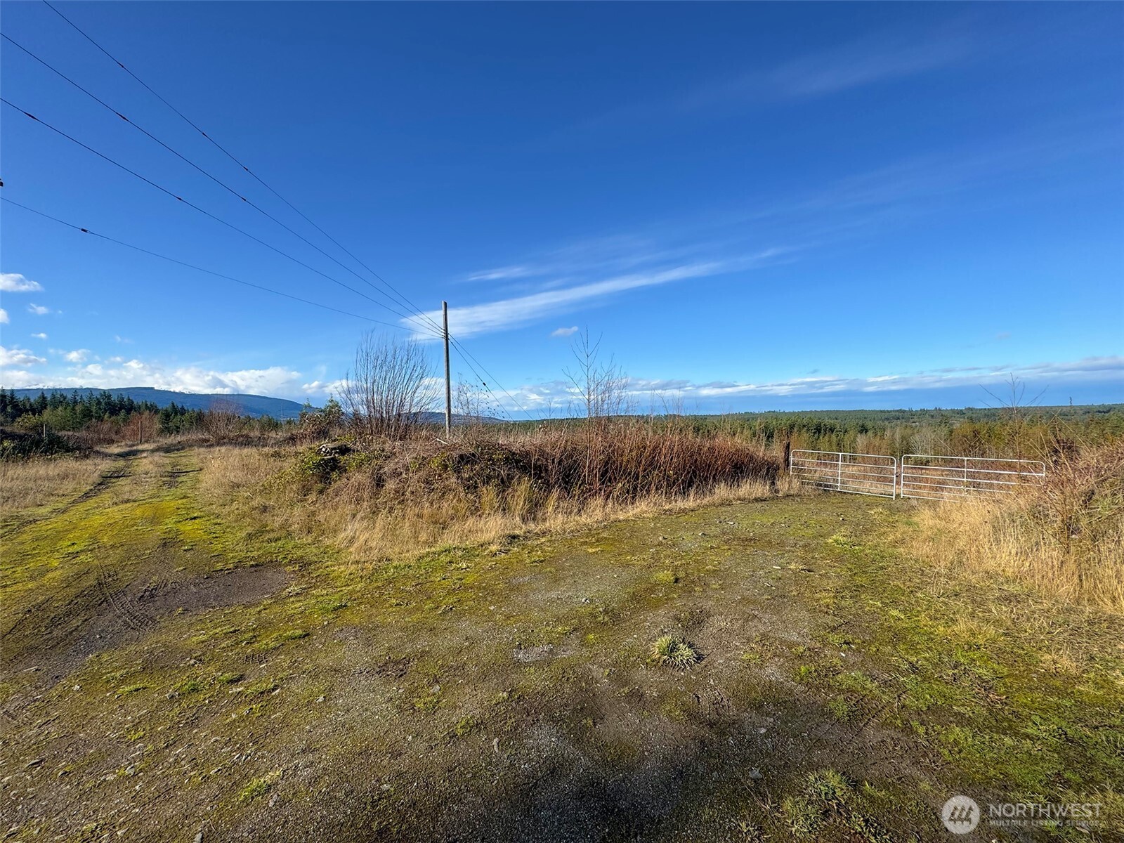 2495 Chicken Coop Road Property Photo 5