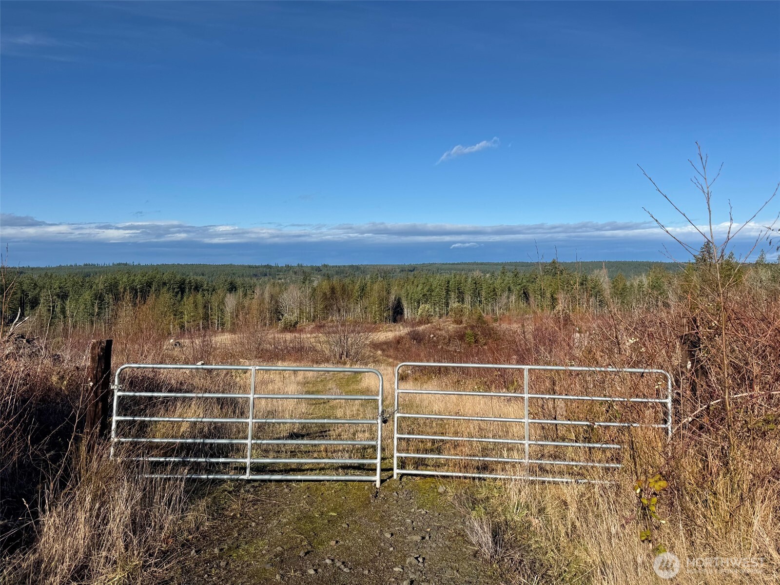 2495 Chicken Coop Road Property Photo 6