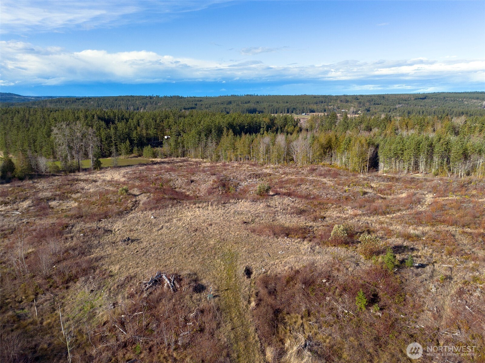 2495 Chicken Coop Road Property Photo 13