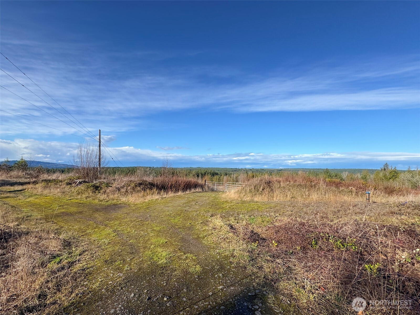 2495 Chicken Coop Road Property Photo 17
