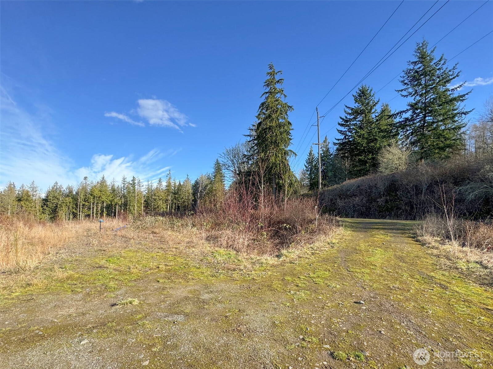 2495 Chicken Coop Road Property Photo 18