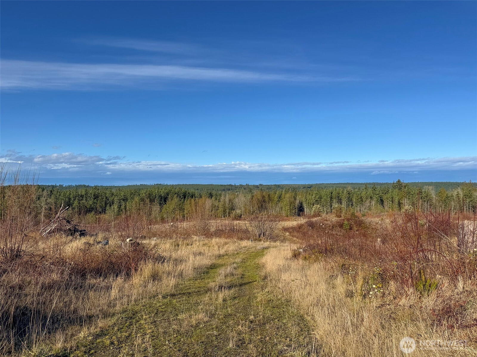 2495 Chicken Coop Road Property Photo 19