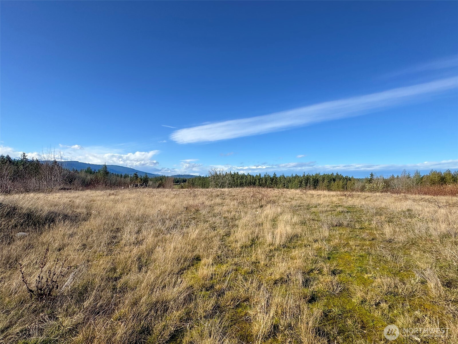2495 Chicken Coop Road Property Photo 20