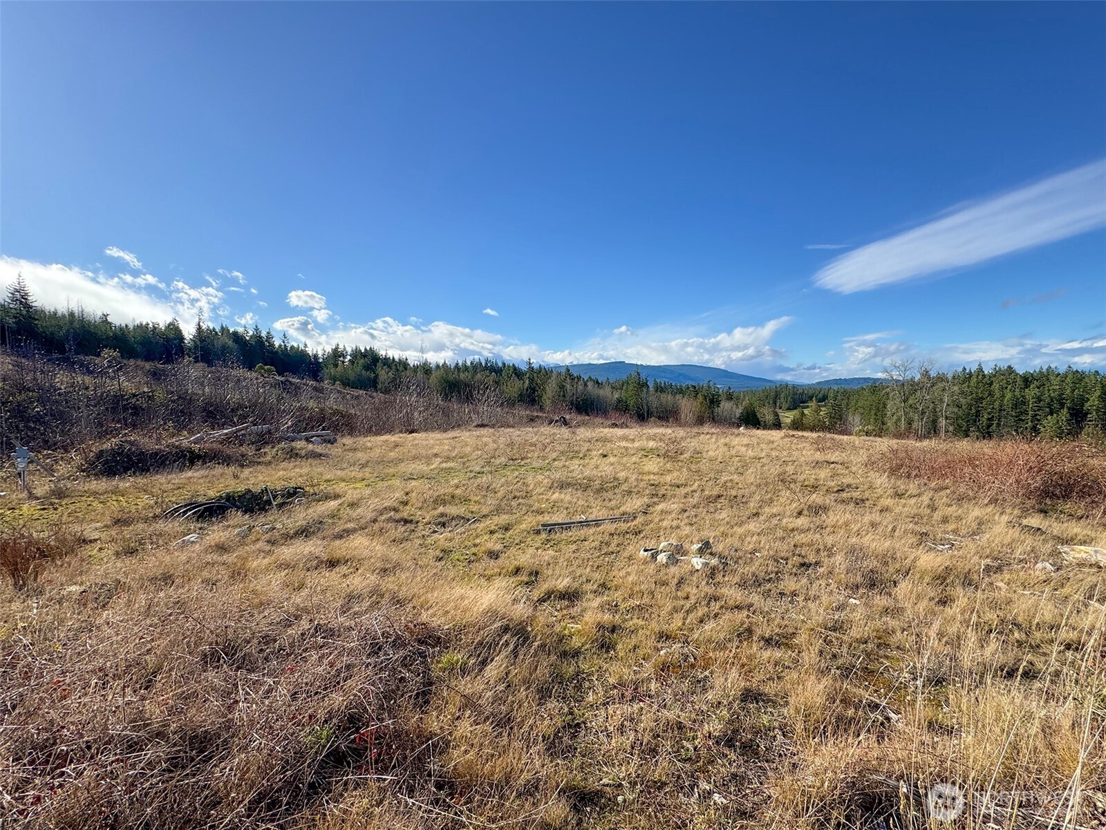 2495 Chicken Coop Road Property Photo 21