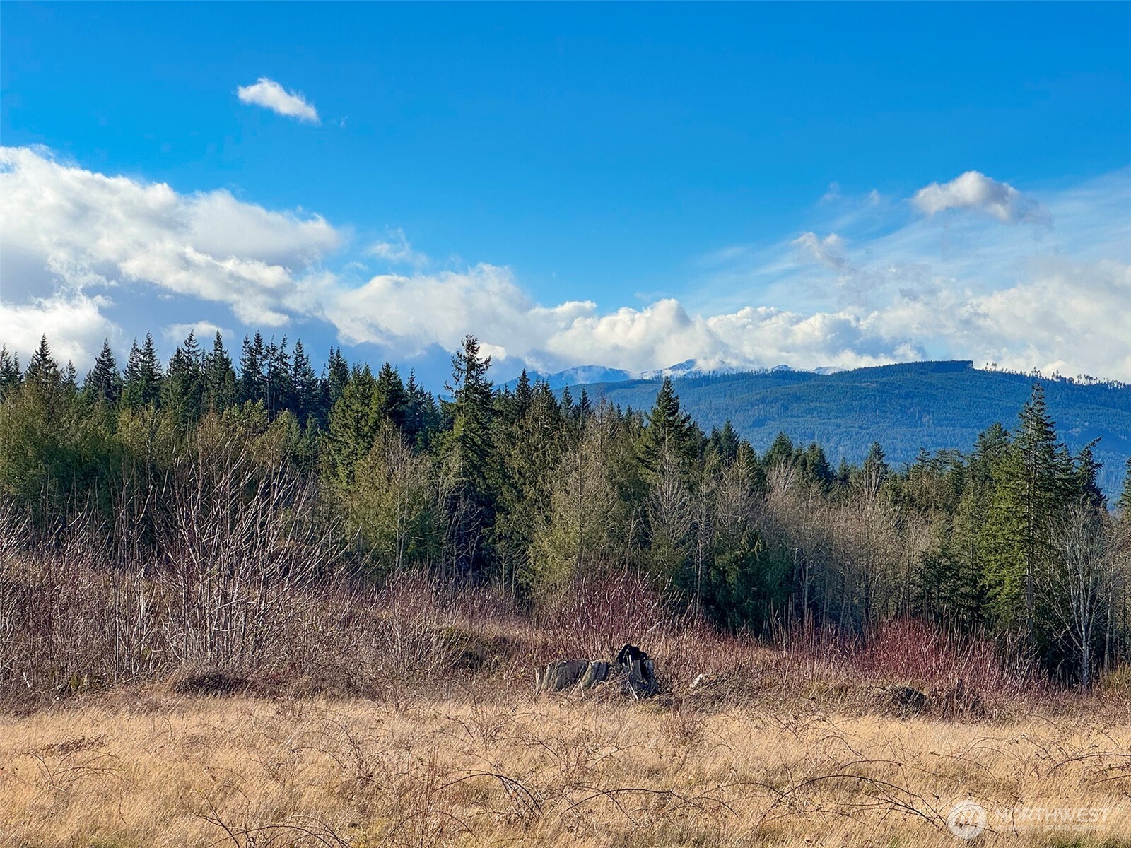 2495 Chicken Coop Road Property Photo 23