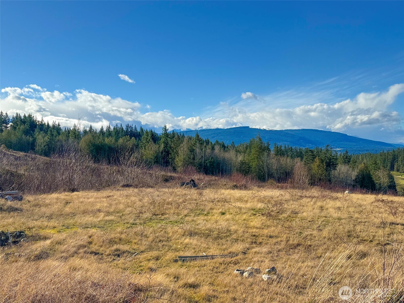 2495 Chicken Coop Road Property Photo 24
