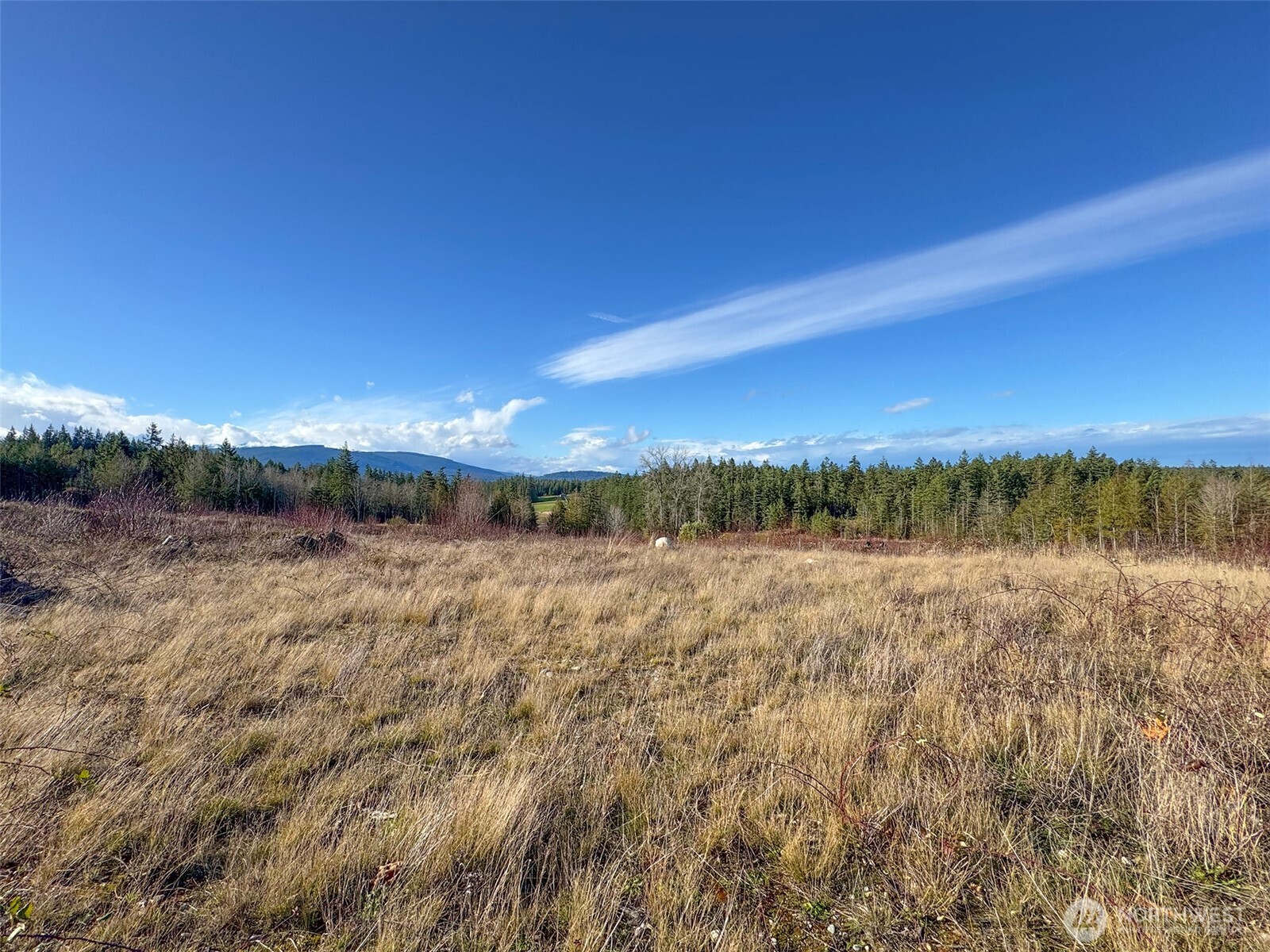 2495 Chicken Coop Road Property Photo 25