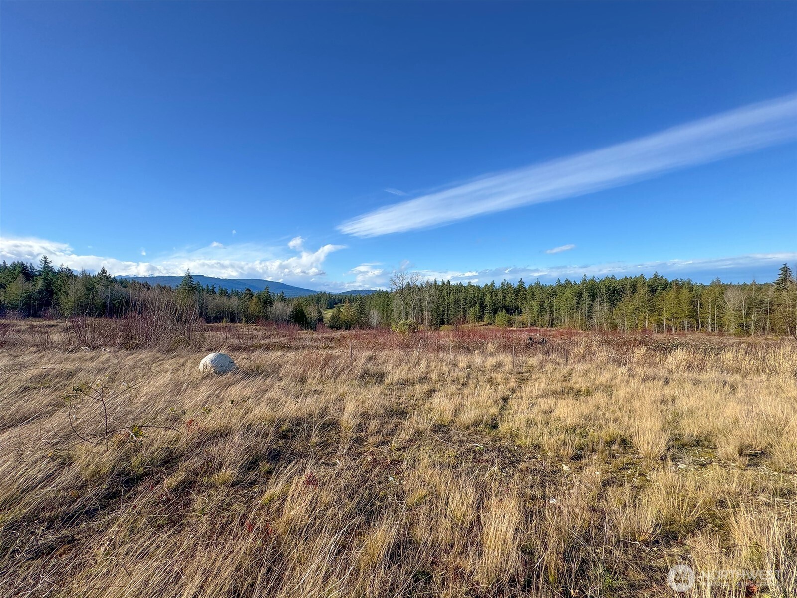 2495 Chicken Coop Road Property Photo 26