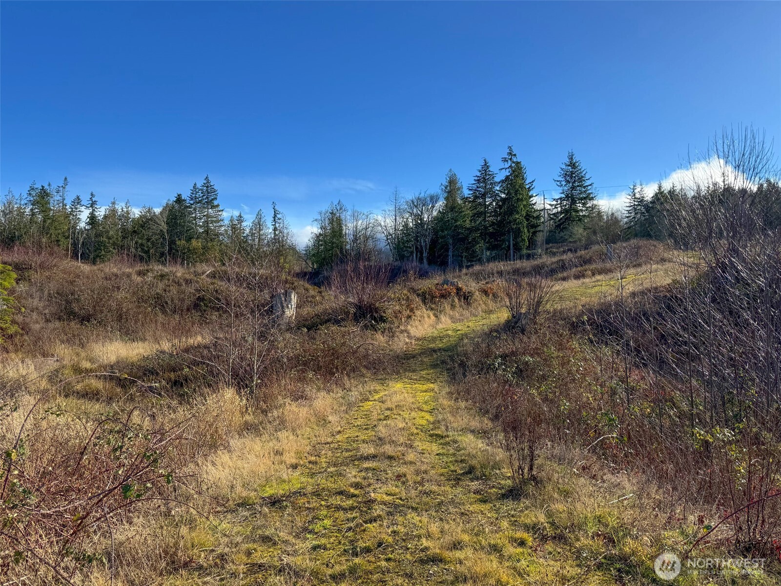2495 Chicken Coop Road Property Photo 28