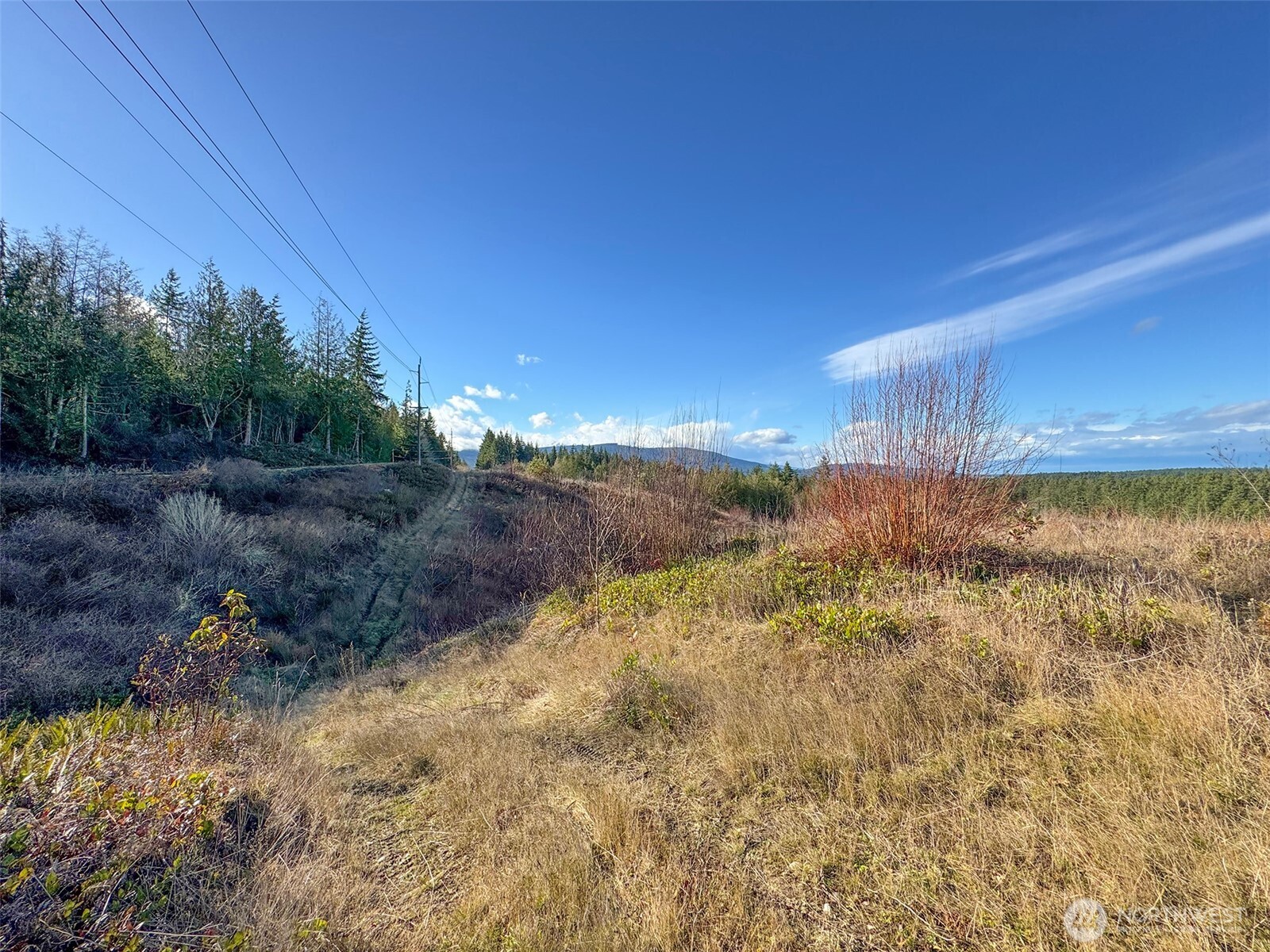 2495 Chicken Coop Road Property Photo 29