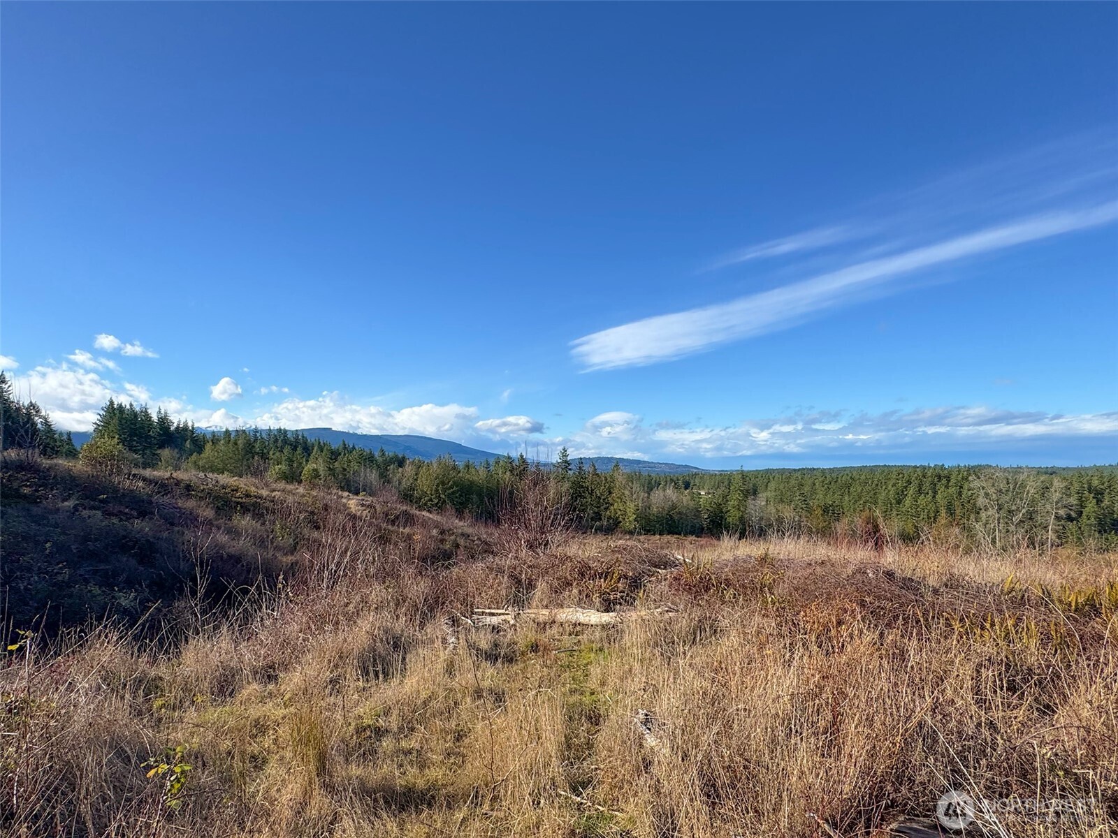 2495 Chicken Coop Road Property Photo 30
