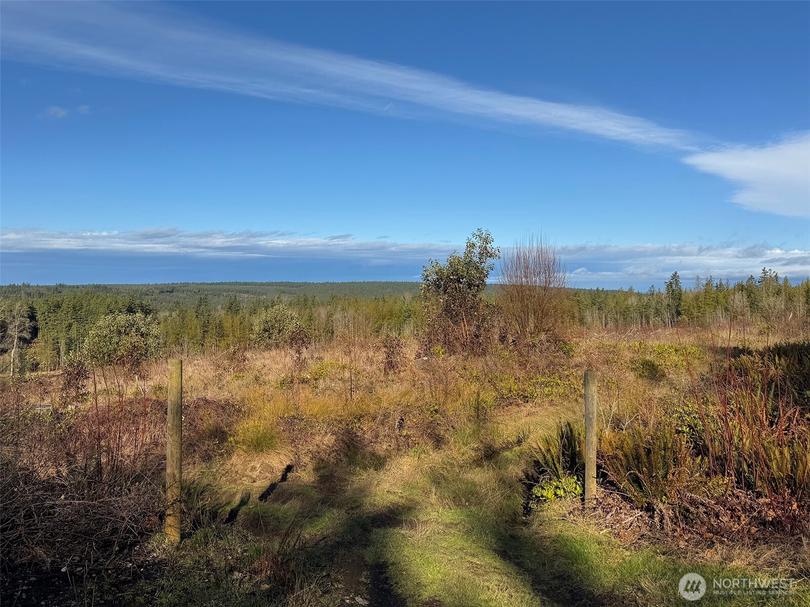 2495 Chicken Coop Road Property Photo 33