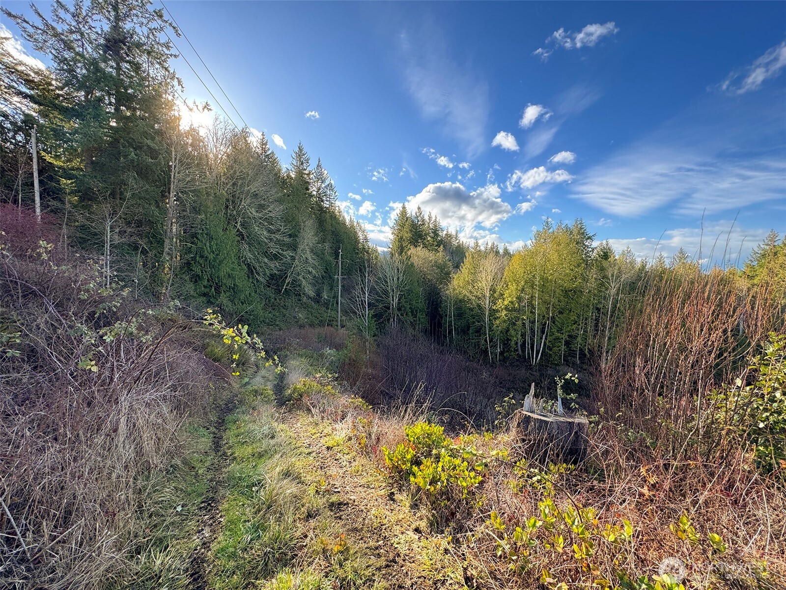 2495 Chicken Coop Road Property Photo 34