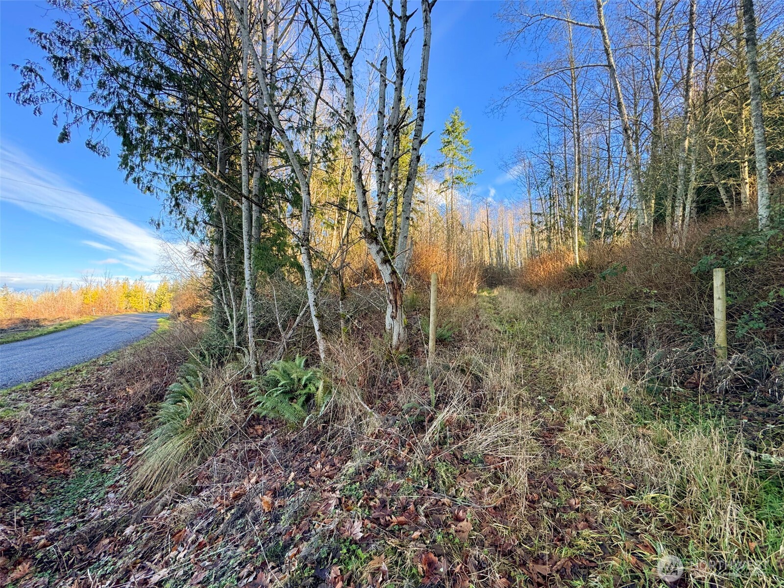 2495 Chicken Coop Road Property Photo 35