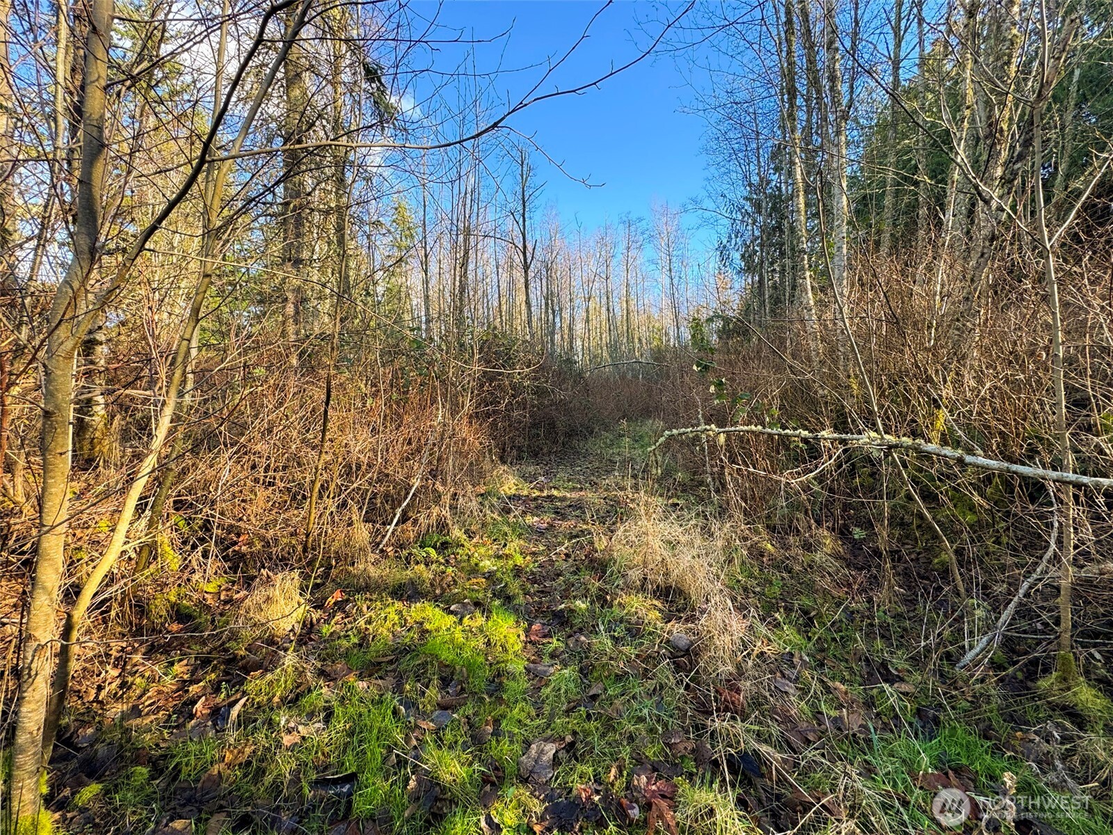 2495 Chicken Coop Road Property Photo 36