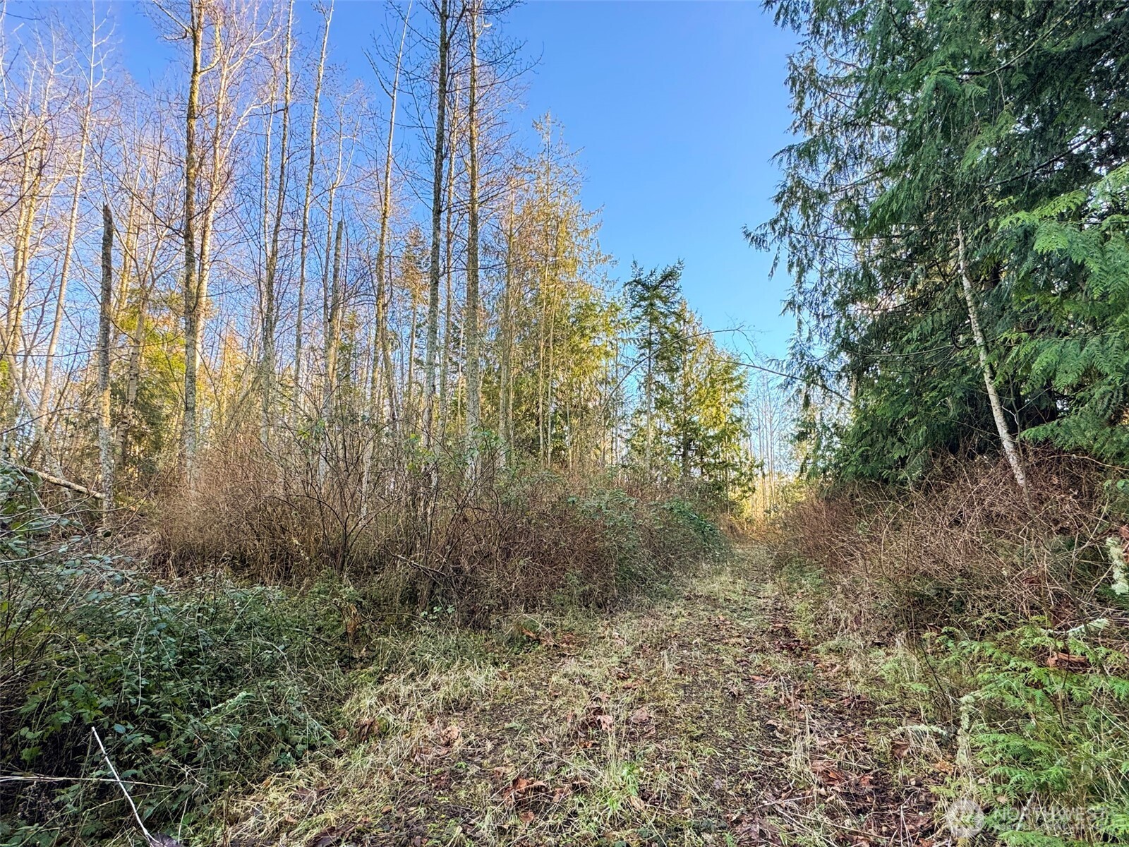 2495 Chicken Coop Road Property Photo 37
