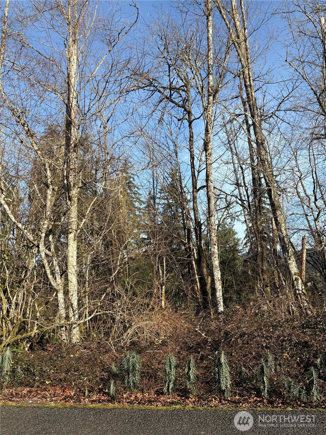 128 Valley View Drive Property Photo 1