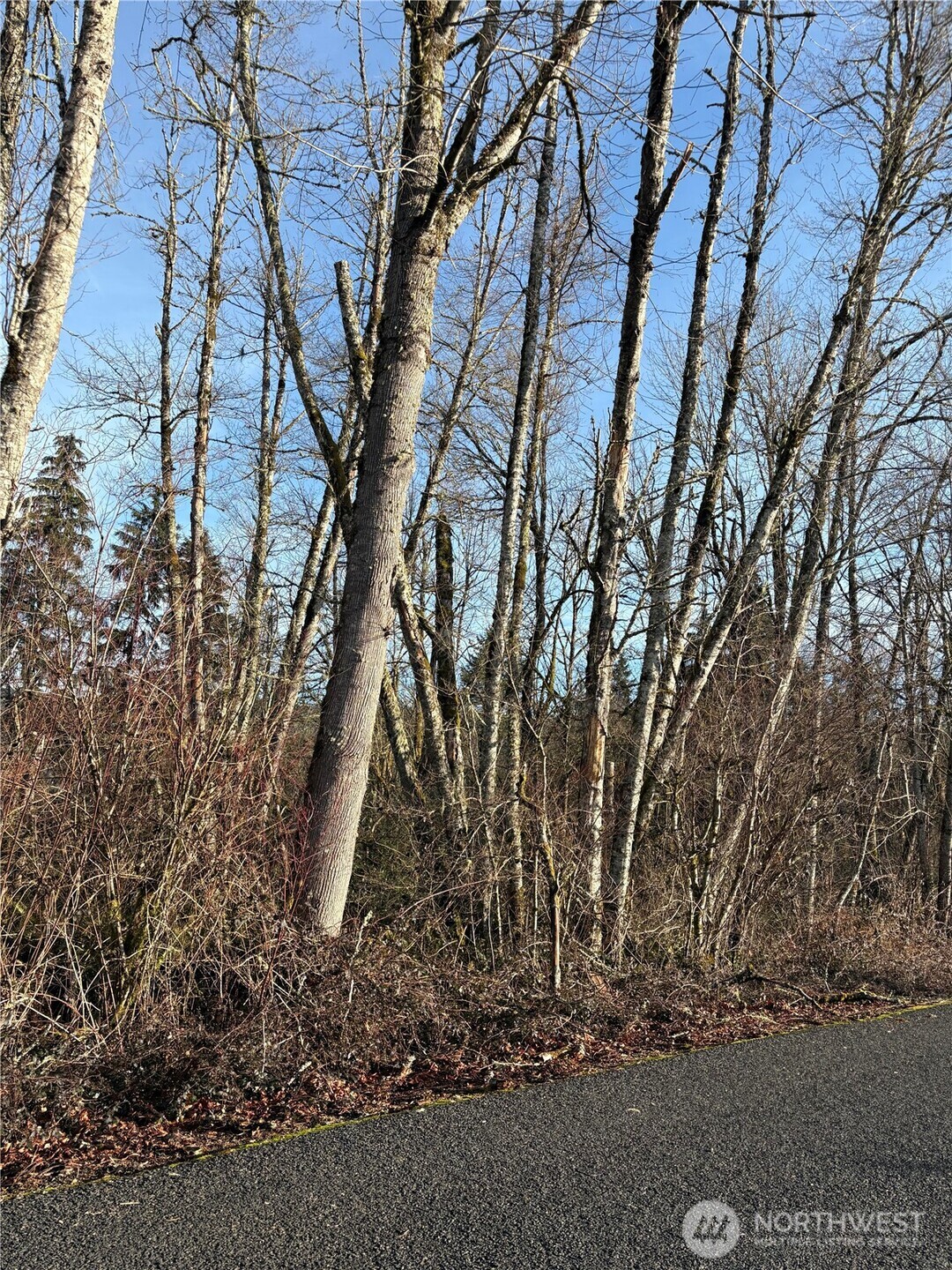 128 Valley View Drive Property Photo 3