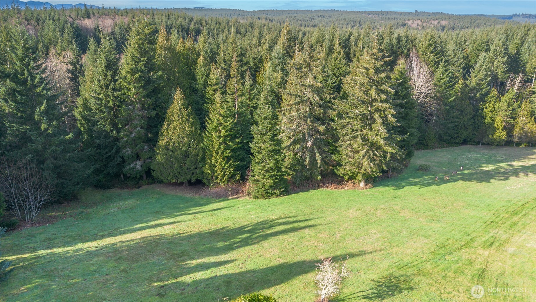 0 Olympic Ridge Drive Property Photo 3