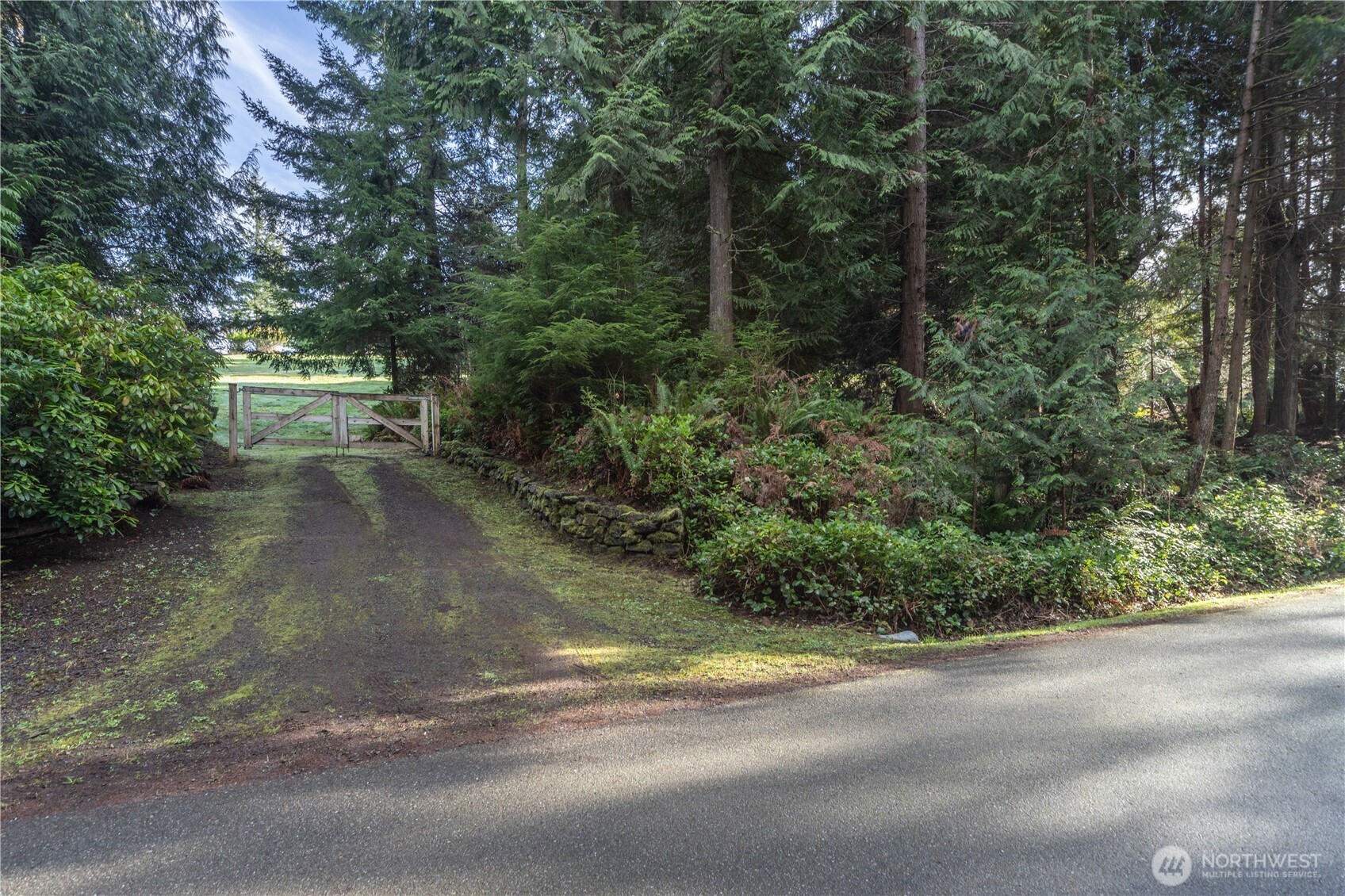 0 Olympic Ridge Drive Property Photo 4