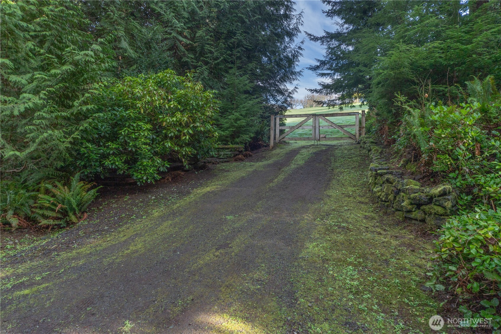 0 Olympic Ridge Drive Property Photo 5
