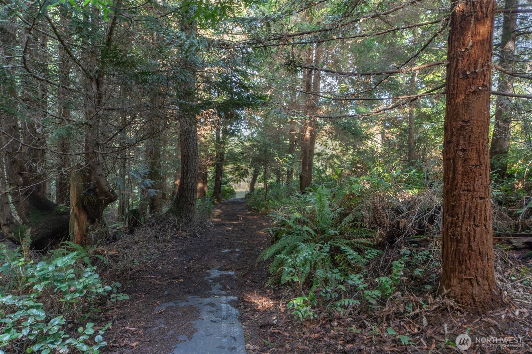 0 Olympic Ridge Drive Property Photo 8