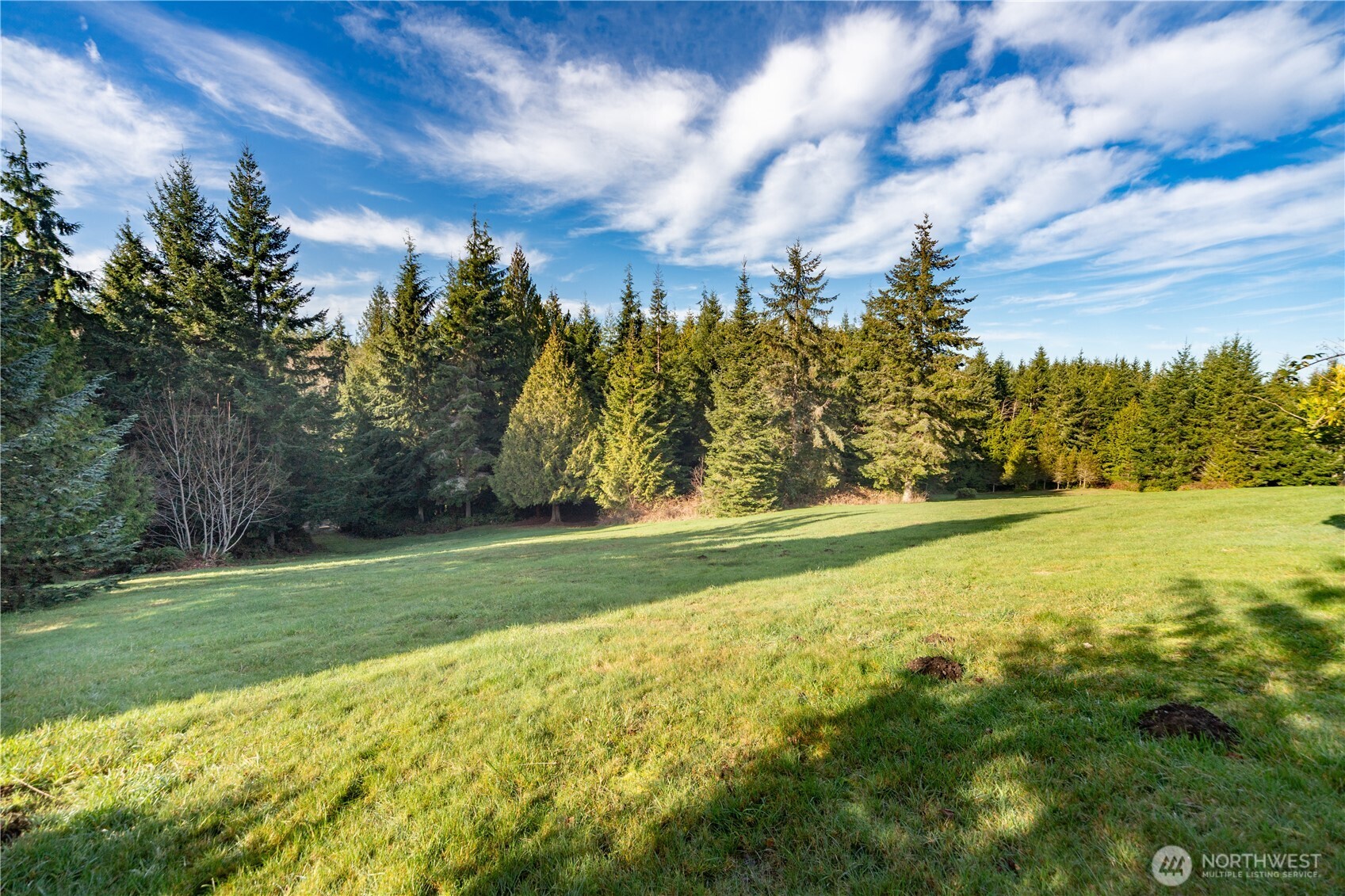 0 Olympic Ridge Drive Property Photo 9