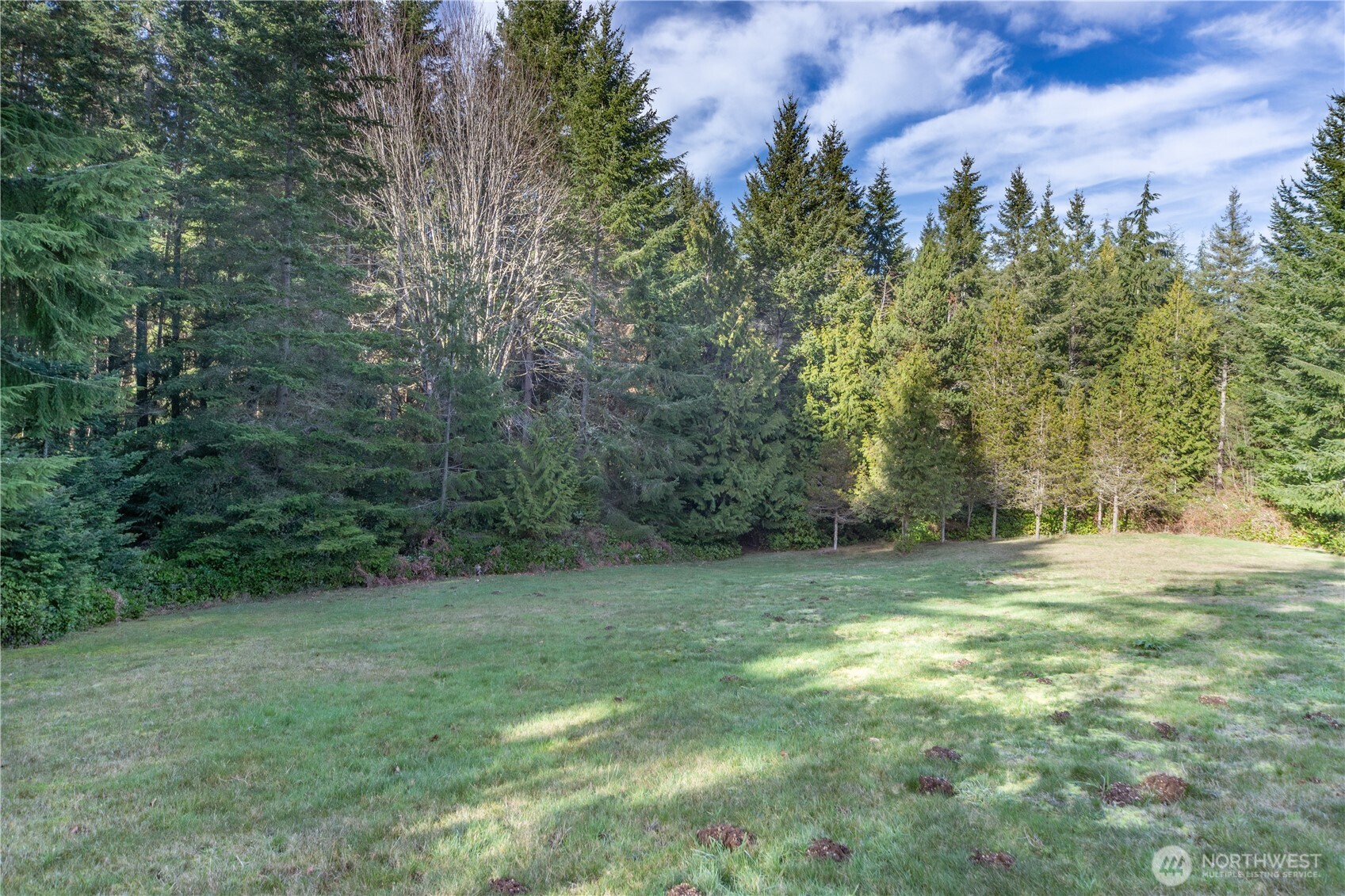 0 Olympic Ridge Drive Property Photo 17