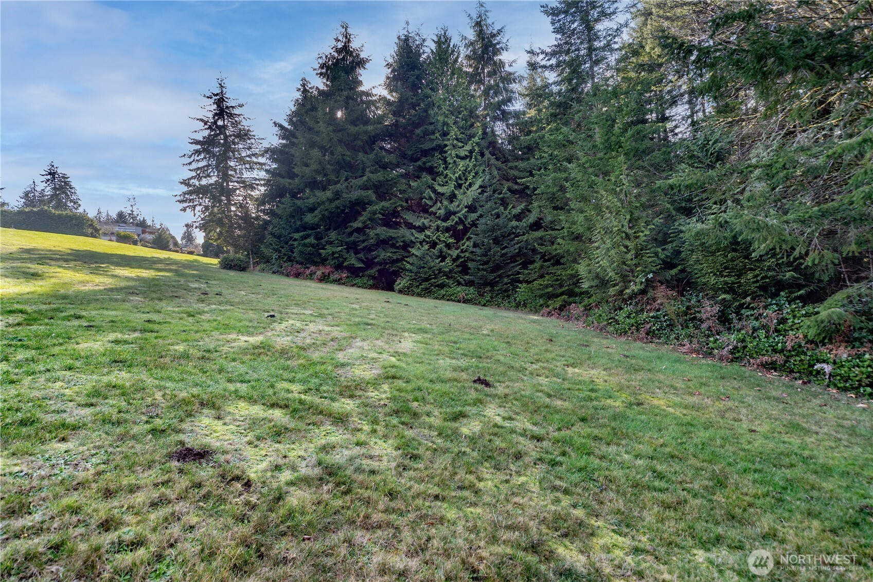0 Olympic Ridge Drive Property Photo 18