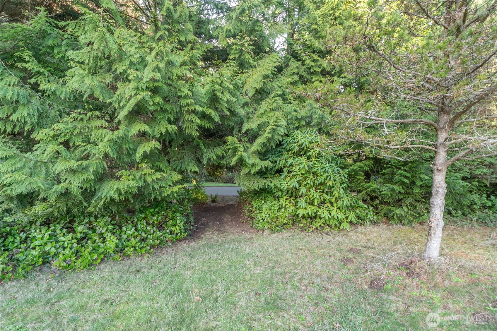 0 Olympic Ridge Drive Property Photo 19