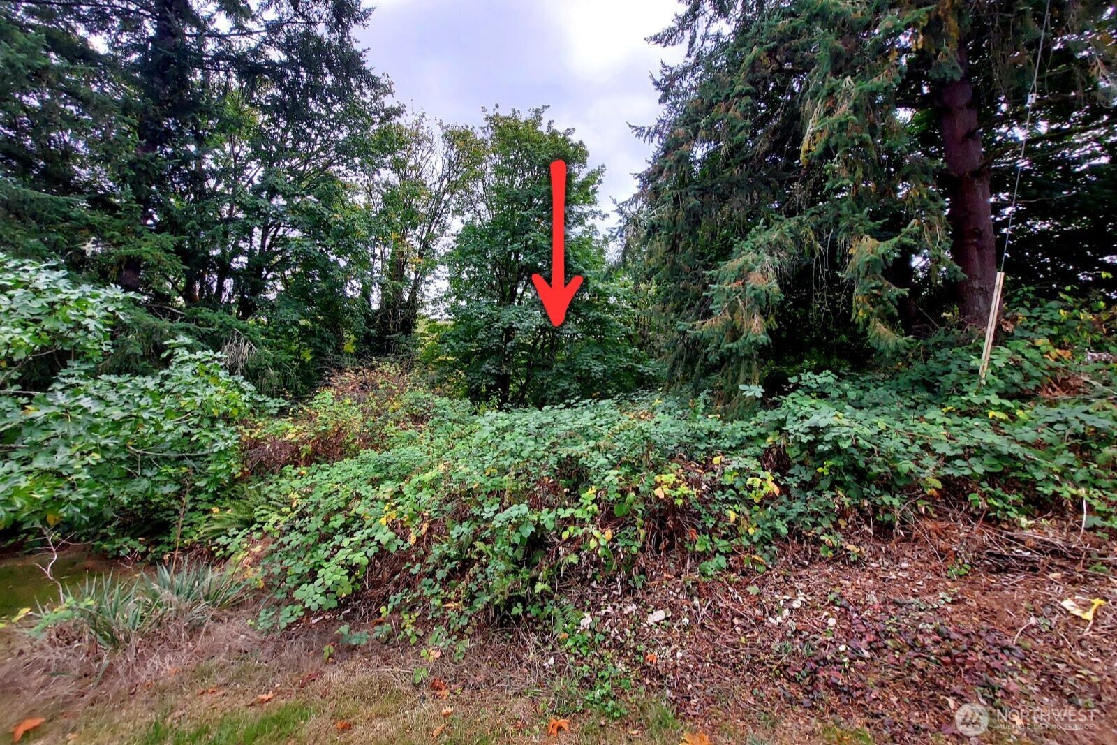 0 Lot C Melcher St Property Photo 3