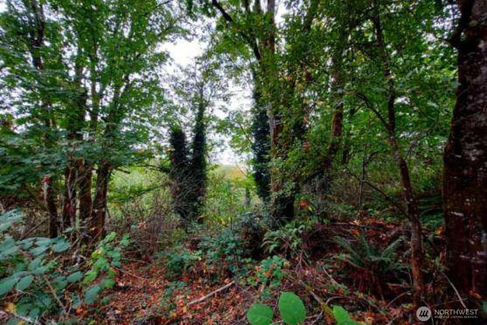 0 Lot C Melcher St Property Photo 4