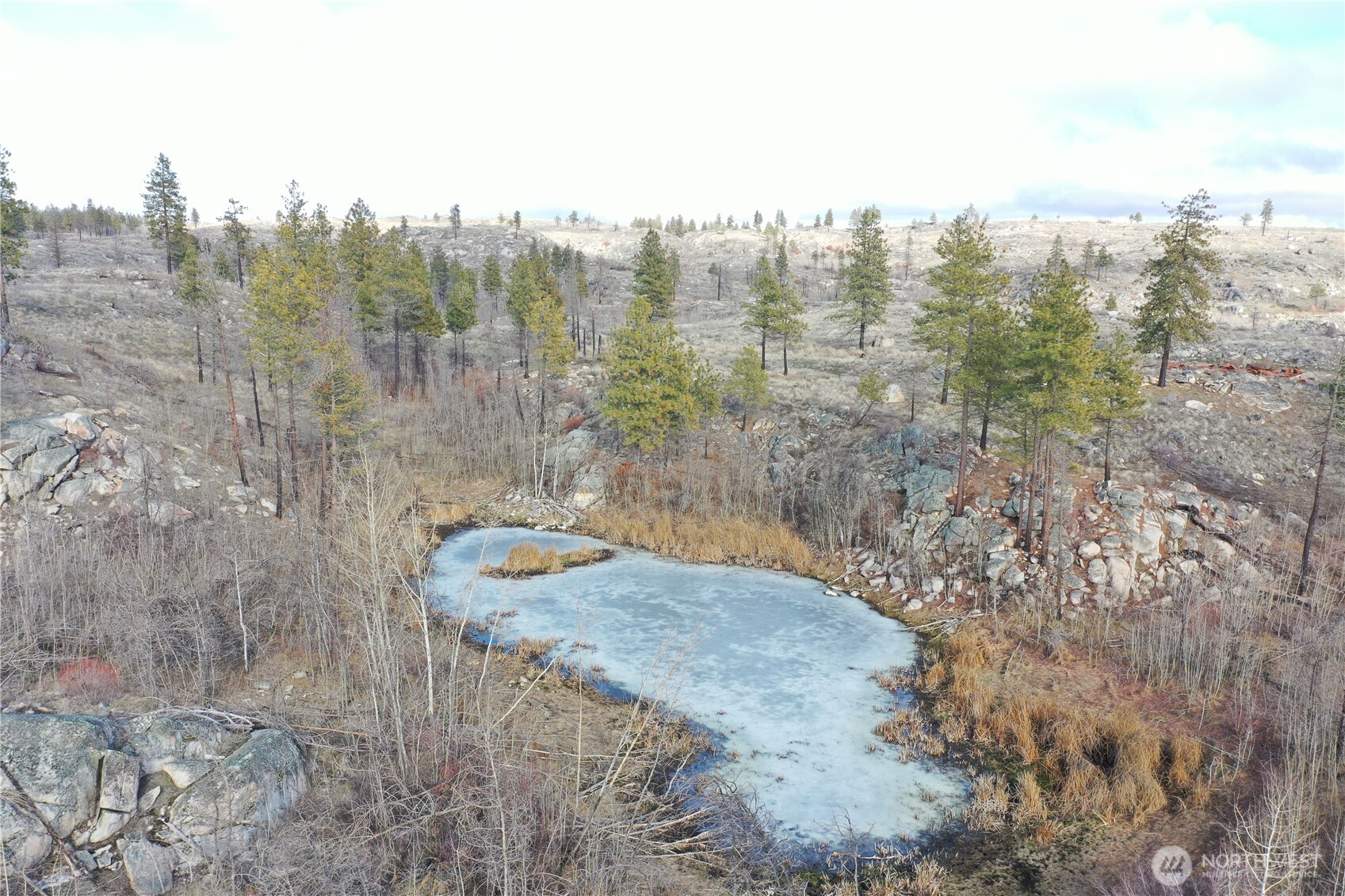 372 C Cameron Lake Loop Road Property Photo 12