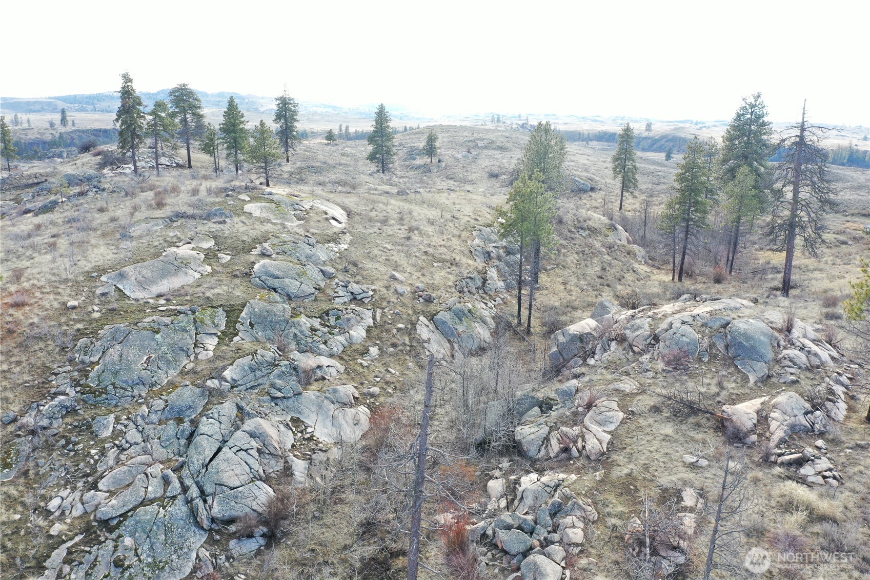 372 C Cameron Lake Loop Road Property Photo 14