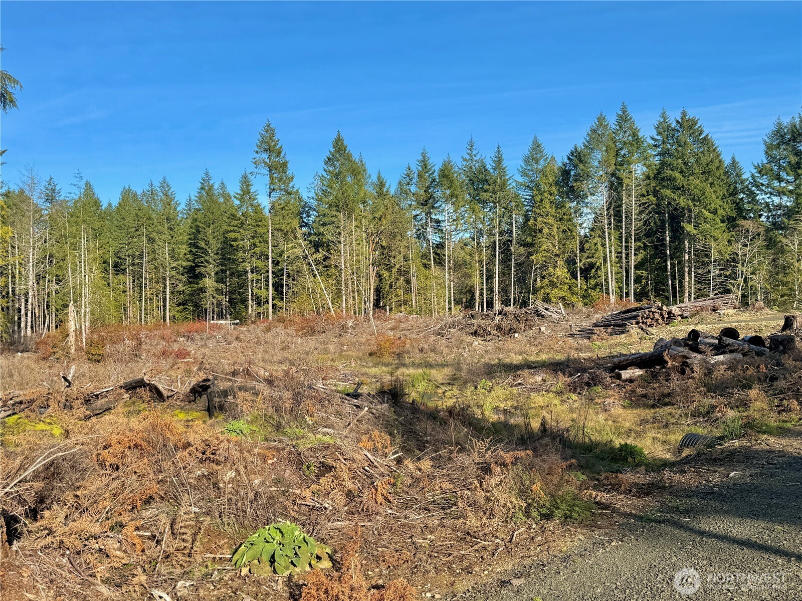 250 E Solbakk Veien Road Property Photo 13