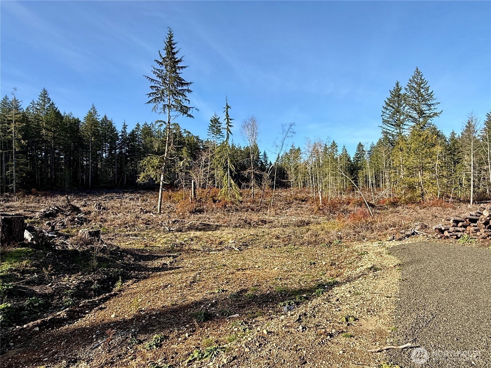 250 E Solbakk Veien Road Property Photo 18