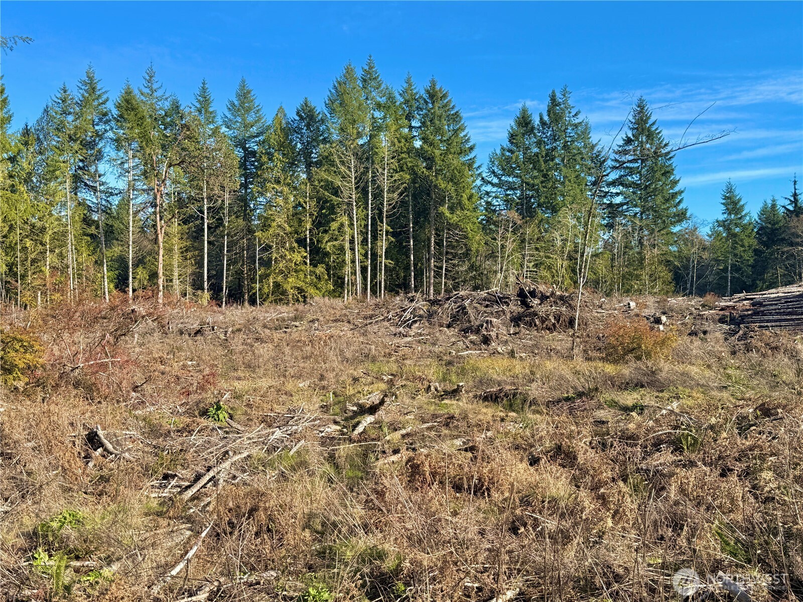250 E Solbakk Veien Road Property Photo 20