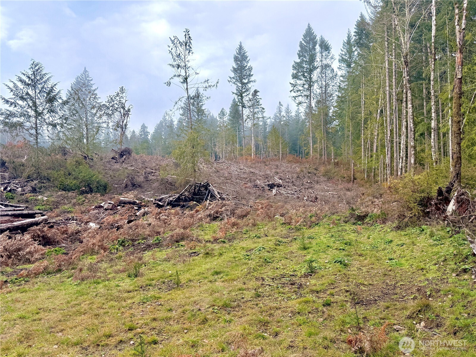 250 E Solbakk Veien Road Property Photo 25