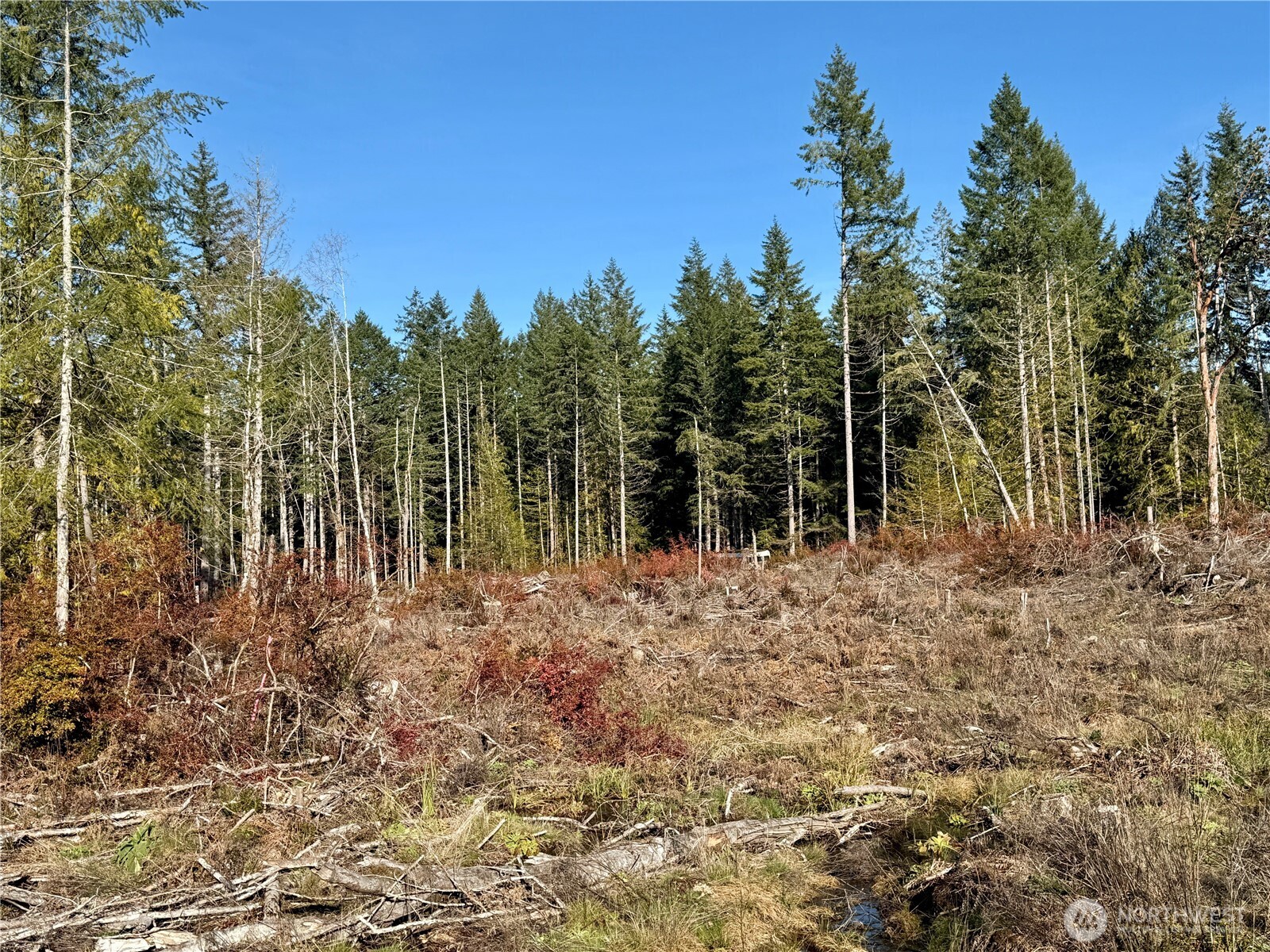 250 E Solbakk Veien Road Property Photo 26