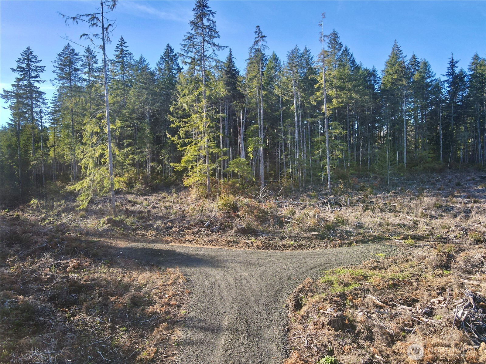 260 E Solbakk Veien Road Property Photo 10
