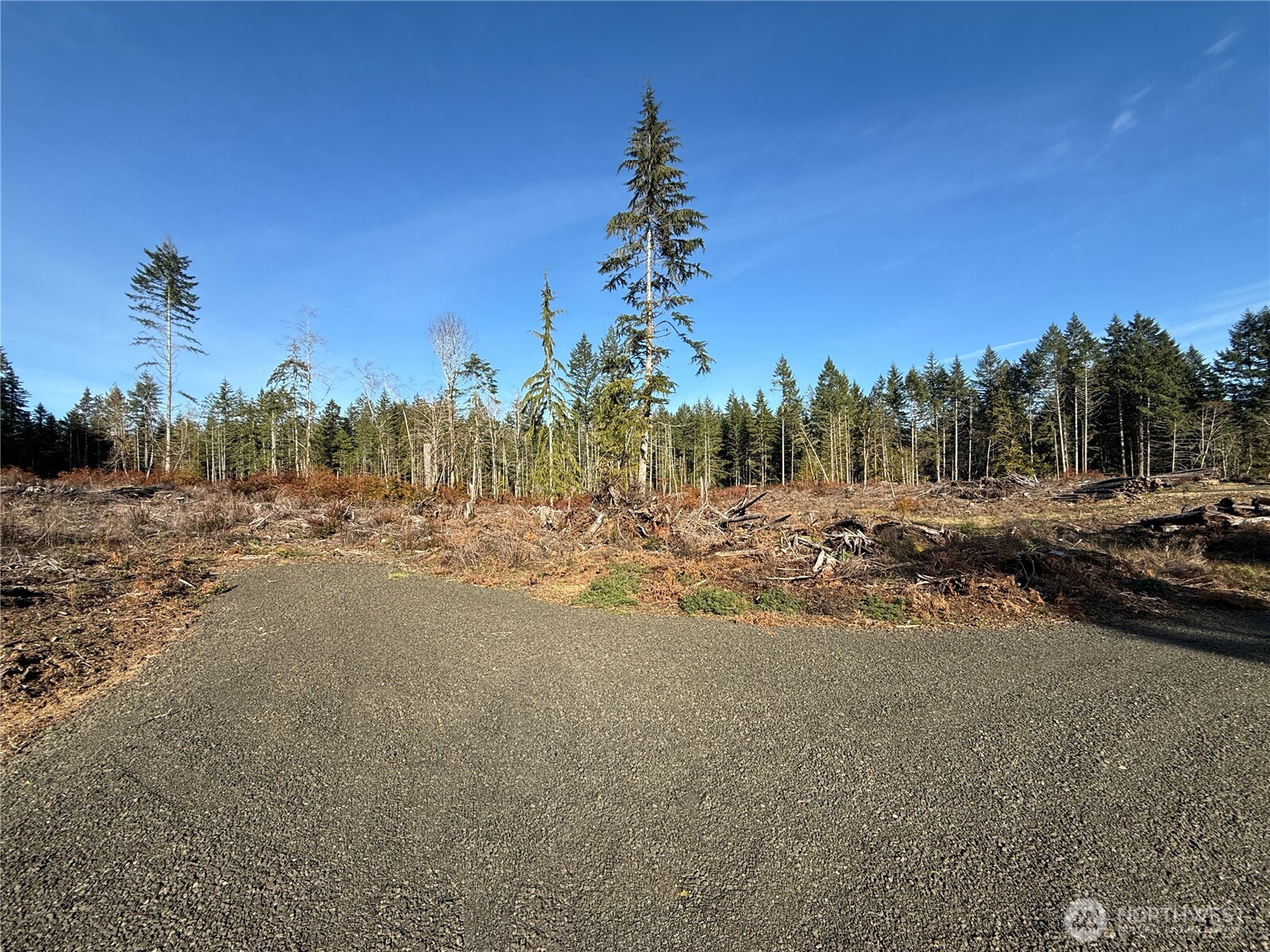 260 E Solbakk Veien Road Property Photo 11