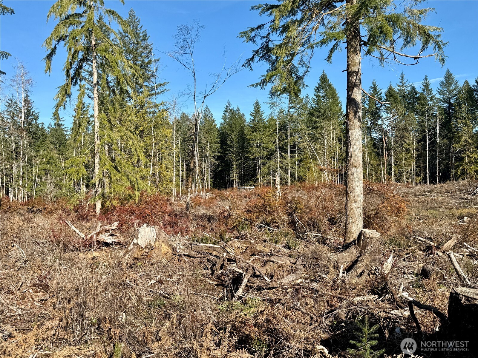 260 E Solbakk Veien Road Property Photo 13