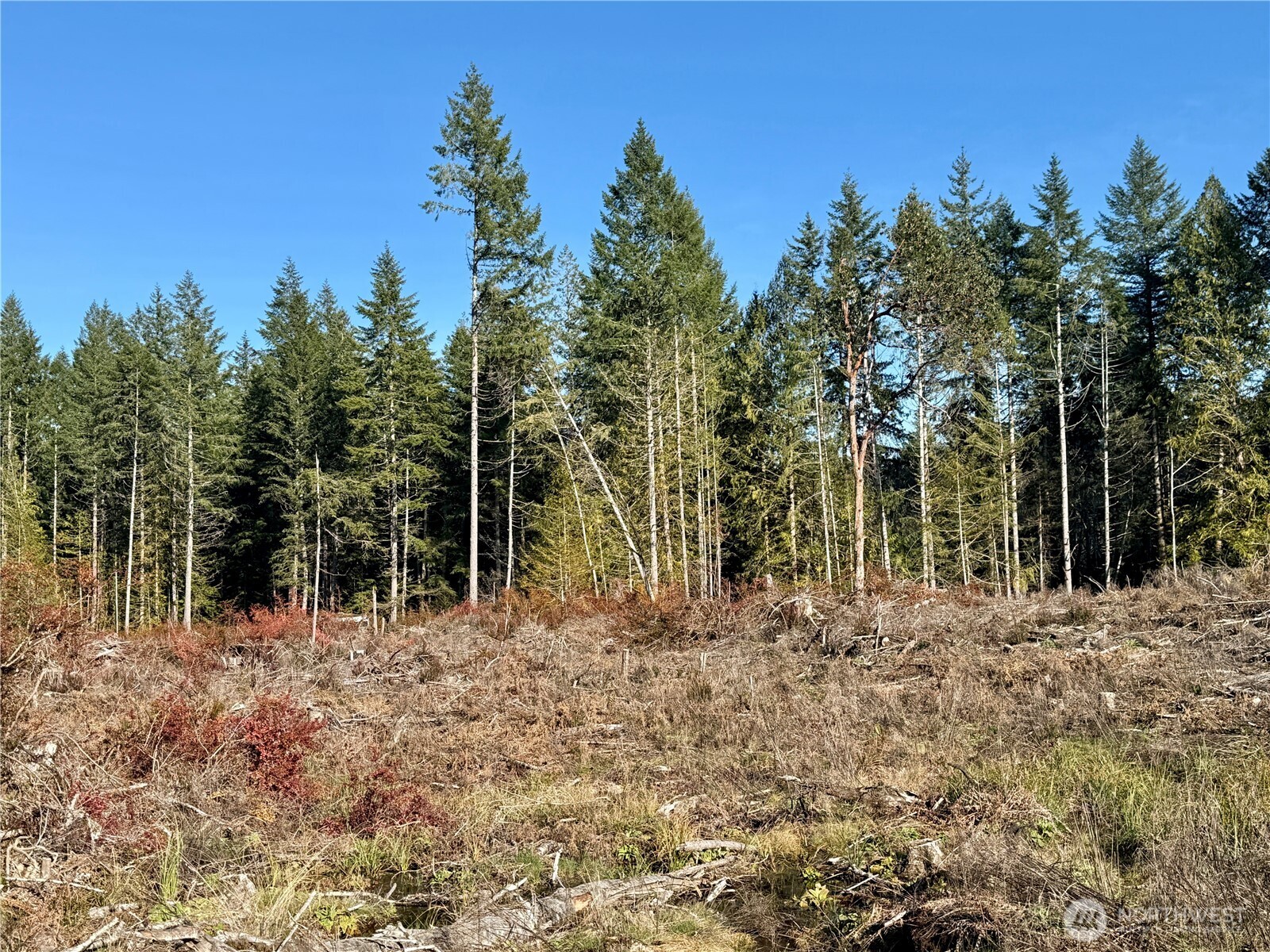 260 E Solbakk Veien Road Property Photo 17