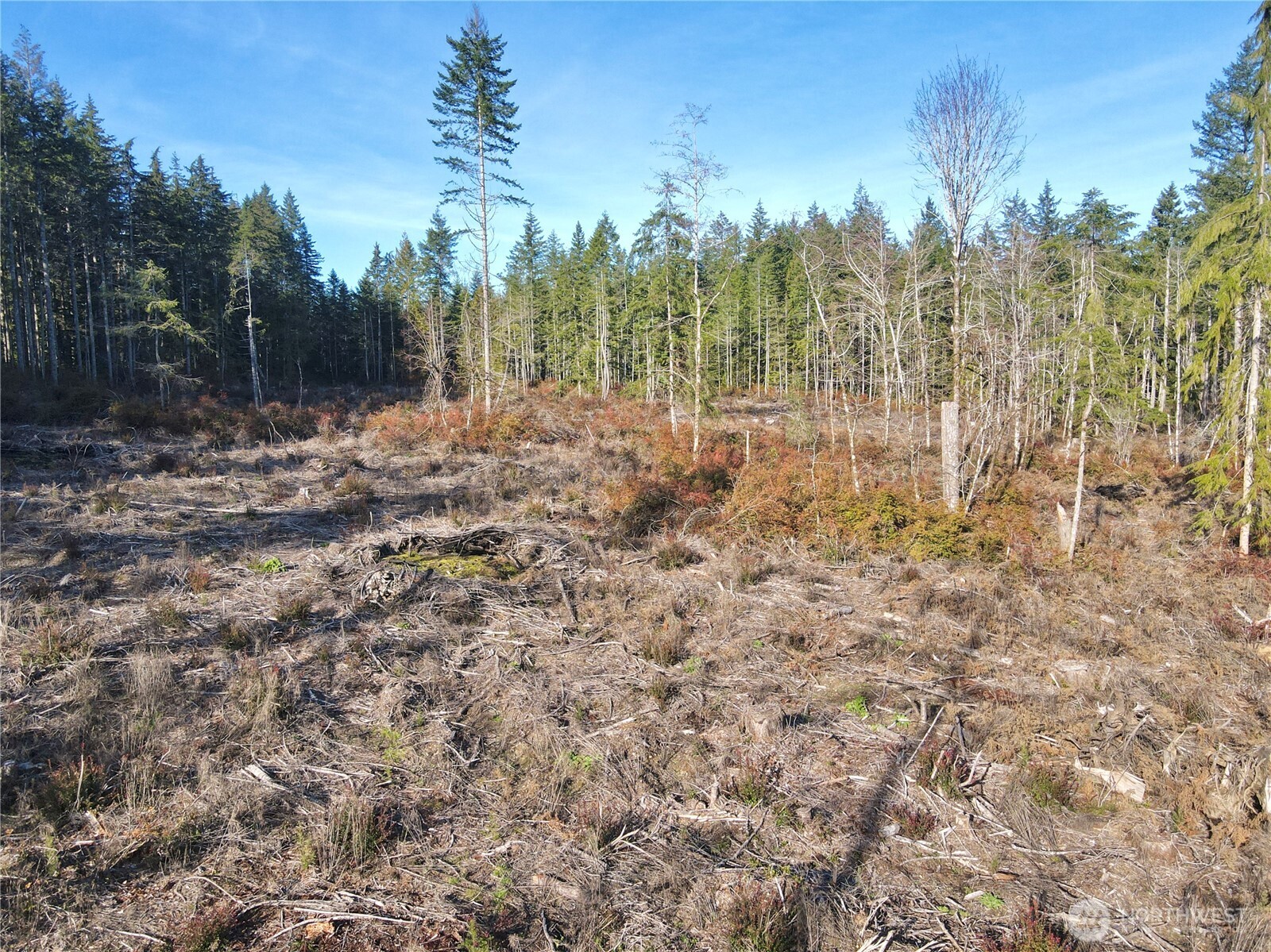 260 E Solbakk Veien Road Property Photo 29