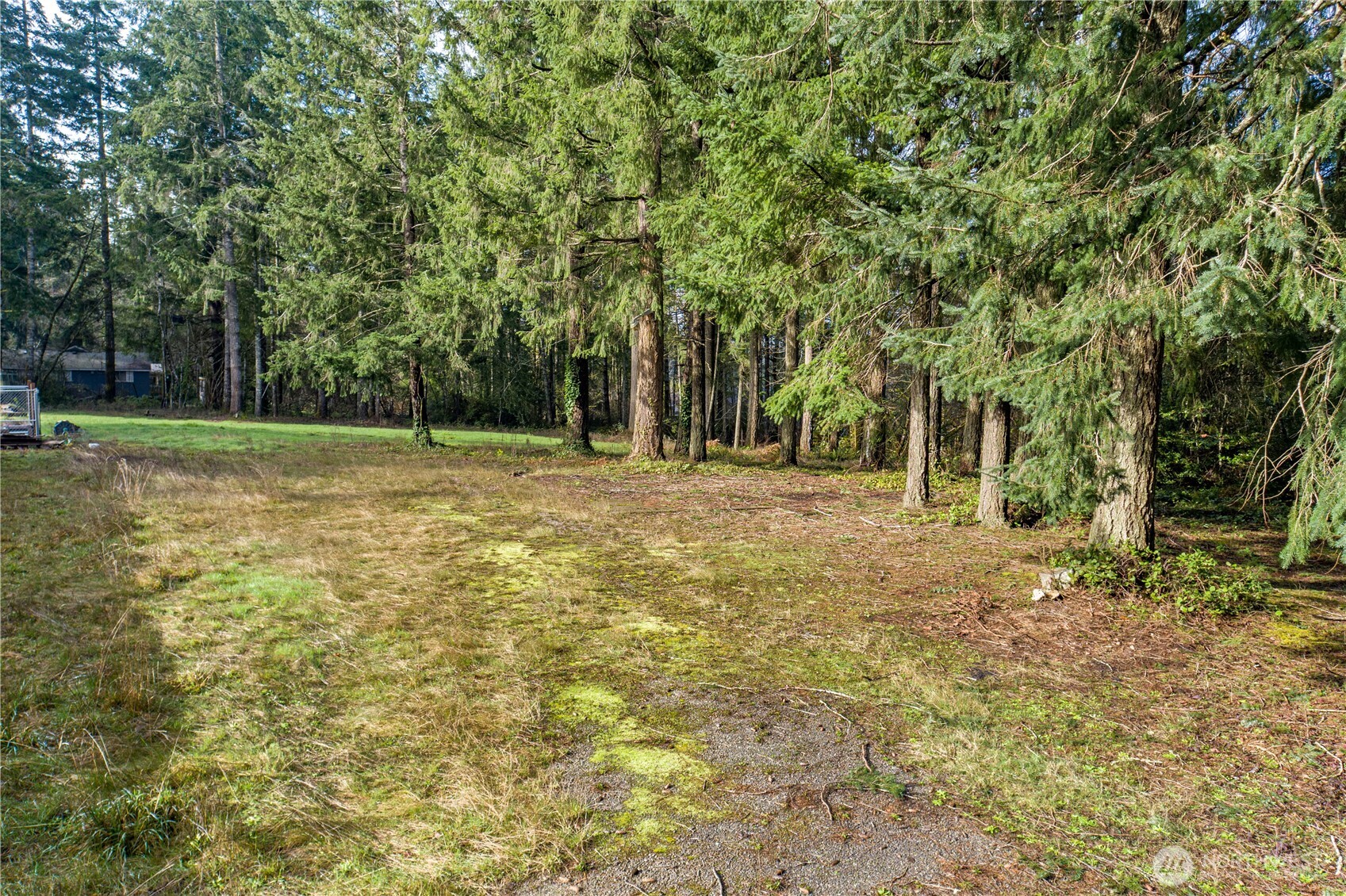 0 Satsop Avenue Property Photo 1