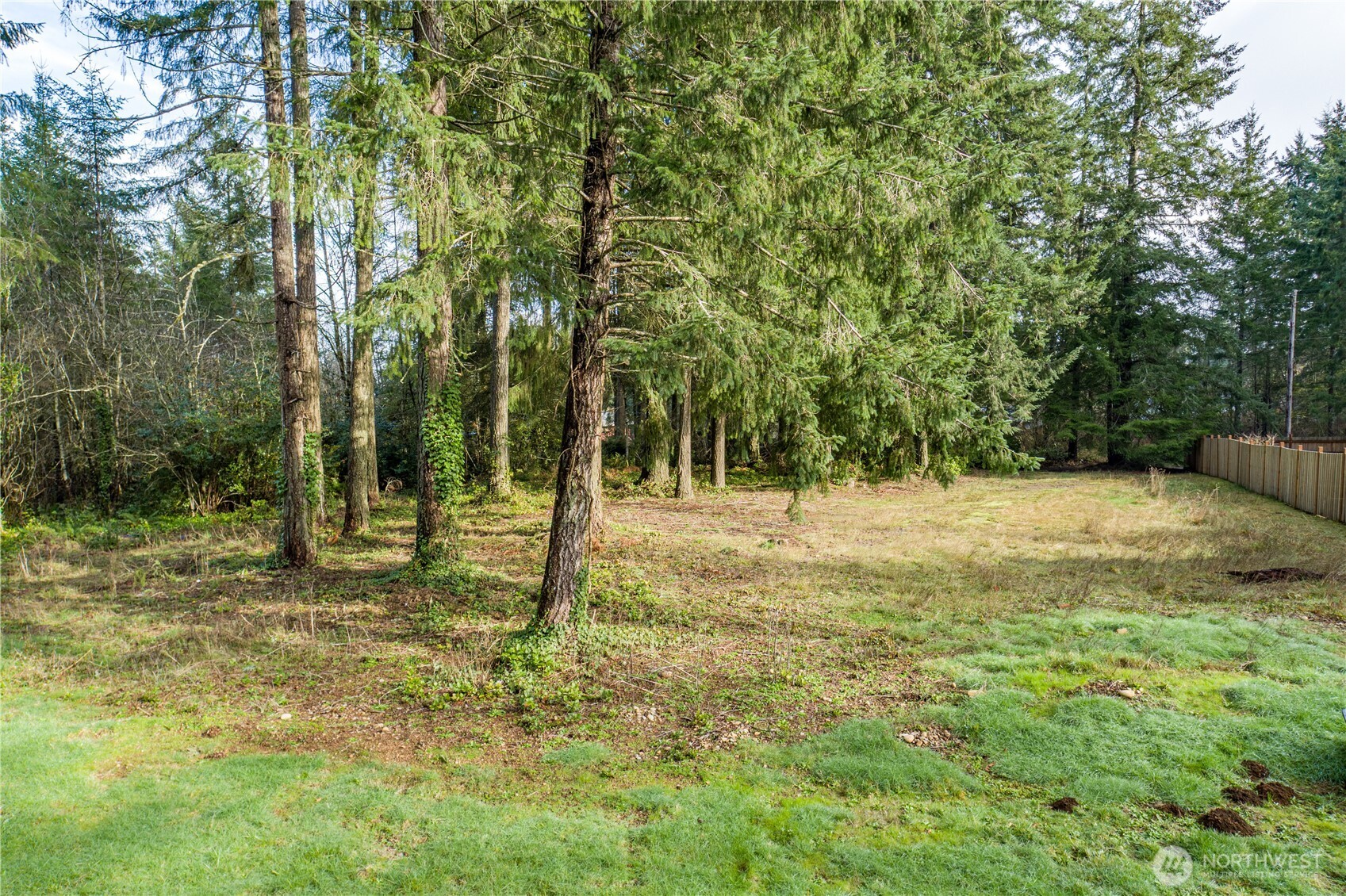 0 Satsop Avenue Property Photo 2