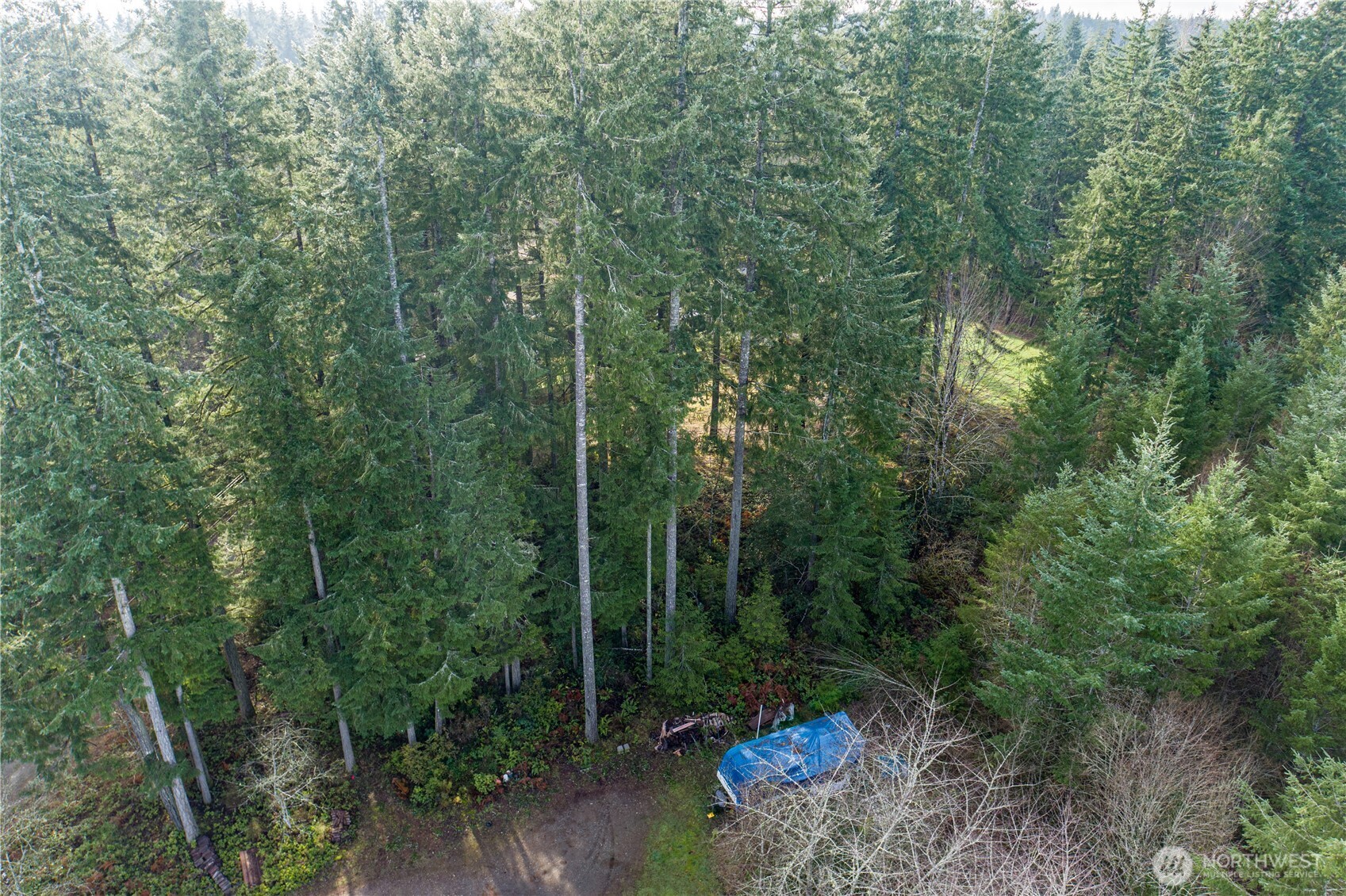 0 Satsop Avenue Property Photo 9
